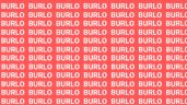 Foto ilustrativa de la nota titulada Sólo una persona con vista de halcón puede encontrar la palabra 'Burro' en menos de 10 segundos