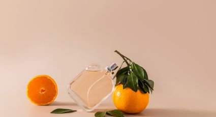 Dónde se puede comprar el mejor perfume cítrico con un 50% de descuento