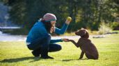 Foto ilustrativa de la nota titulada 10 errores comunes que los dueños cometen con sus perros y cómo evitarlos