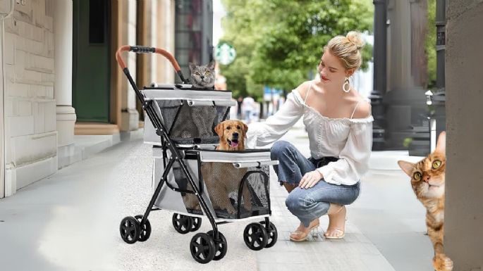 El fenómeno que arrasa en Corea del Sur: más coches para perros que para bebés