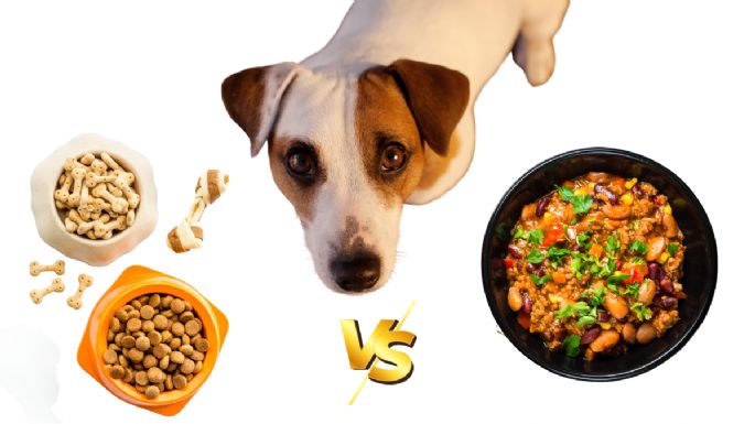 ¿Qué es la Dieta BARF y por qué está ganando popularidad entre los dueños de mascotas?