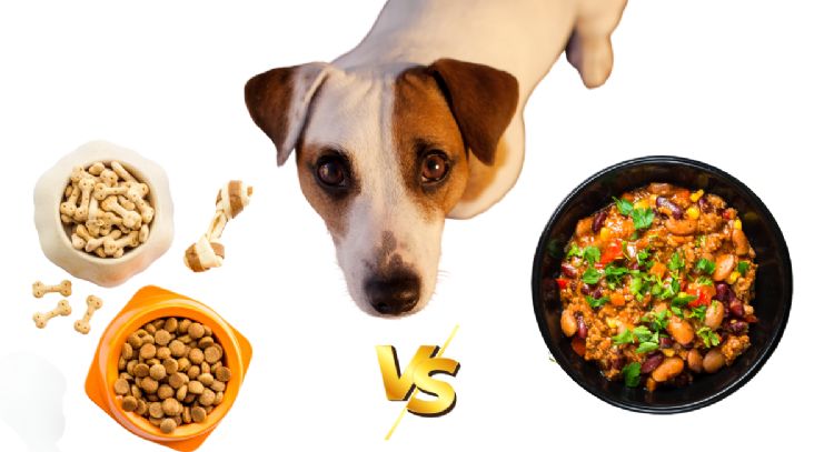 ¿Qué es la Dieta BARF y por qué está ganando popularidad entre los dueños de mascotas?