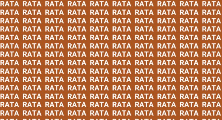 Sólo la mente de un maestro puede encontrar la palabra 'Ruta' en menos de 10 segundos