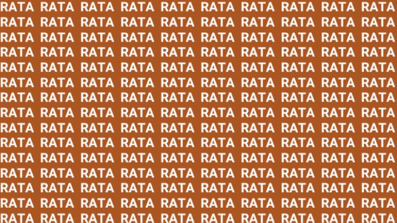 Sólo la mente de un maestro puede encontrar la palabra 'Ruta' en menos de 10 segundos