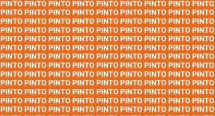 Solo una persona brillante puede encontrar la palabra "Tinto" en 10 segundos