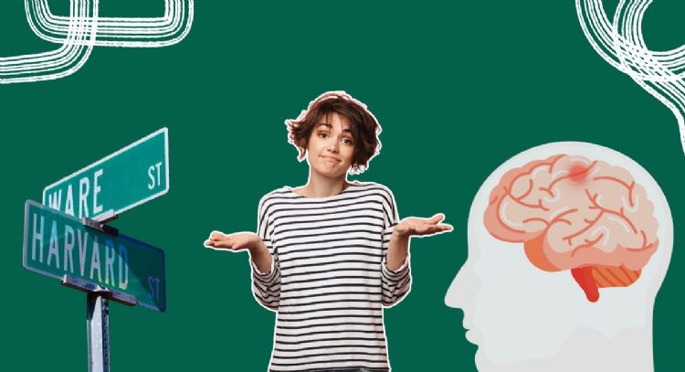 Descubre la fruta que disminuye el riesgo de desarrollar demencia, según afirma Harvard