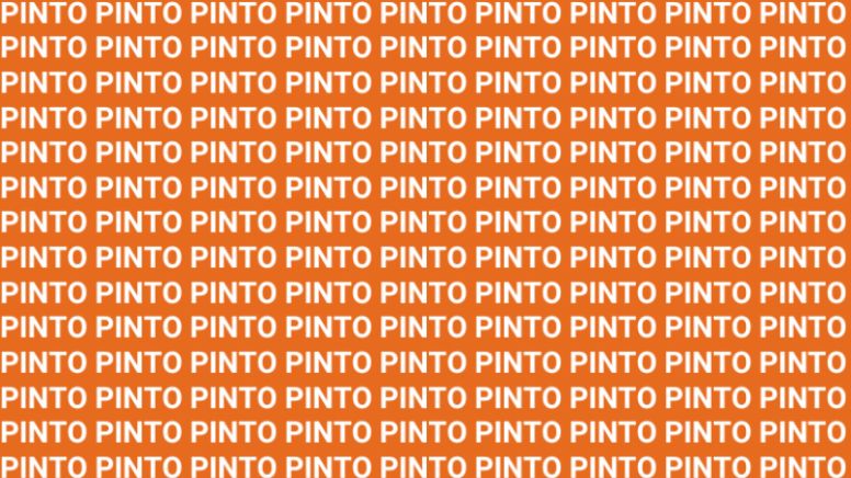Solo una persona brillante puede encontrar la palabra "Tinto" en 10 segundos