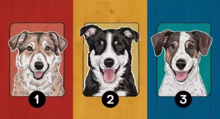 Dime qué perro escoges primero y te diré qué te depara el futuro
