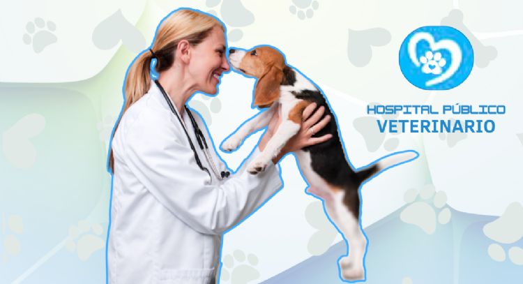 Atención veterinaria gratuita en Pereira: ¡Descubre el nuevo hospital público para mascotas vulnerables!