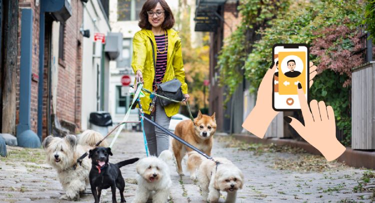 Con solo 14 años, joven emprendedor revoluciona el cuidado de mascotas en Colombia con una app innovadora