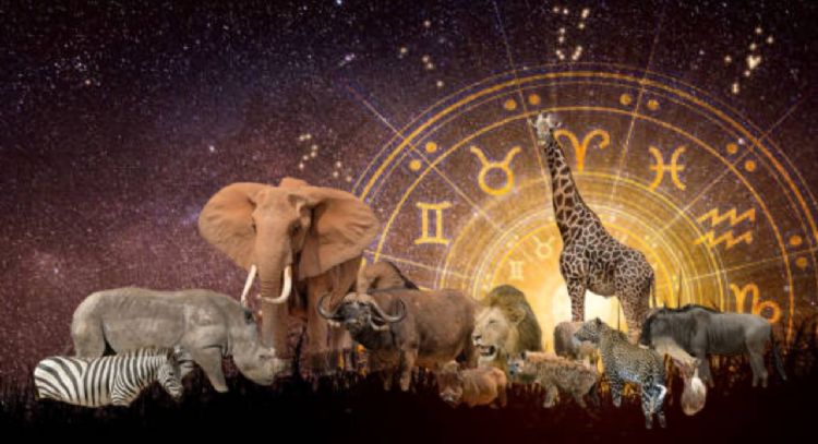 Descubre qué animal espiritual eres, según tu fecha de nacimiento