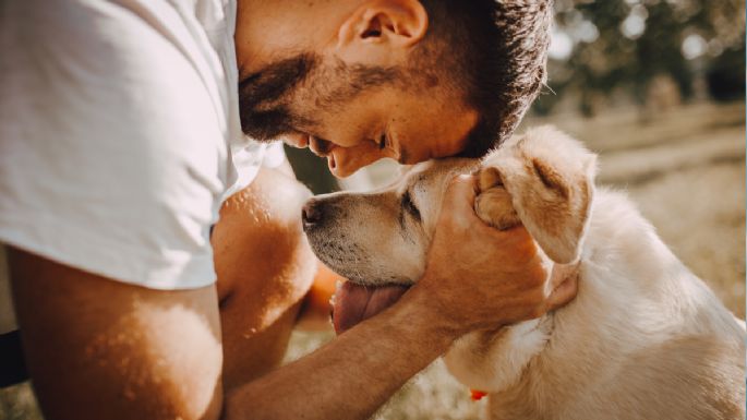 ¿Tu perro tiene un favorito? Descubre por qué elige a una persona en particular