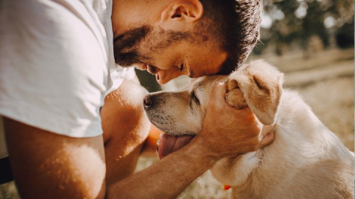 ¿Tu perro tiene un favorito? Descubre por qué elige a una persona en particular