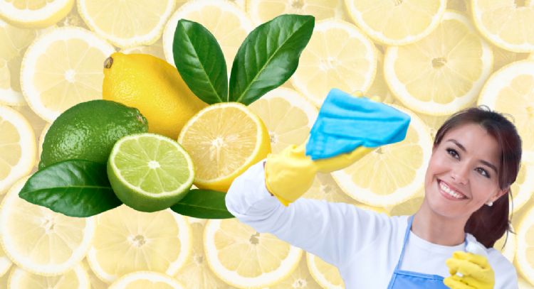 ¿Por qué cada vez más personas están poniendo un limón en la nevera?