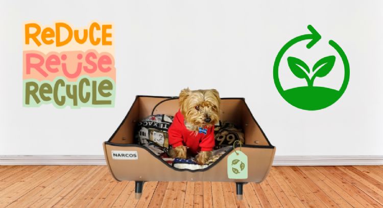 Cuatro maneras de cuidar el medio ambiente si tienes una mascota