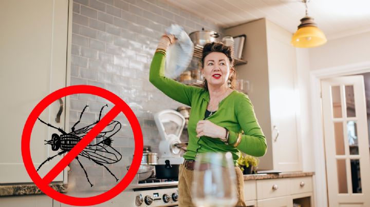 El ingrediente de cocina que debes tener en tu casa para alejar las moscas