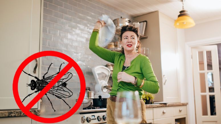 El ingrediente de cocina que debes tener en tu casa para alejar las moscas