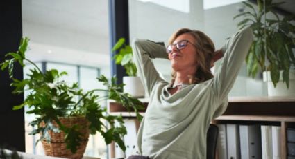 Cuál es la planta que debes tener en casa para eliminar la mala energía y atraer la buena suerte