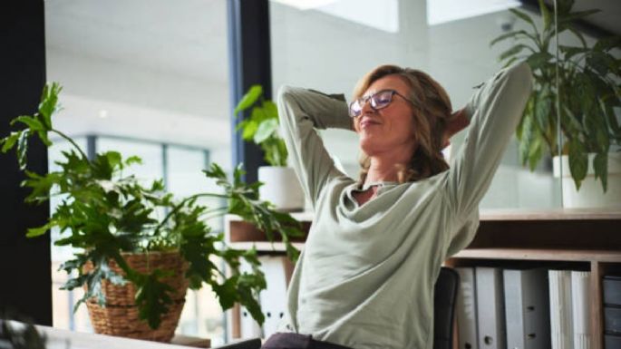 Cuál es la planta que debes tener en casa para eliminar la mala energía y atraer la buena suerte