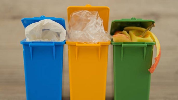 Cómo eliminar el mal olor en las canecas de la basura con solo 1 ingrediente de cocina