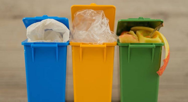 Cómo eliminar el mal olor en las canecas de la basura con solo 1 ingrediente de cocina