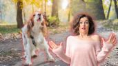 Foto ilustrativa de la nota titulada ¿Por qué mi perro ladra a algunas personas y a otras no?