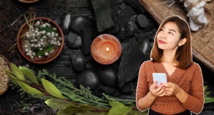 Cómo utilizar el laurel para limpiar tu energía y abrir el Portal 9/9 este 9 de septiembre