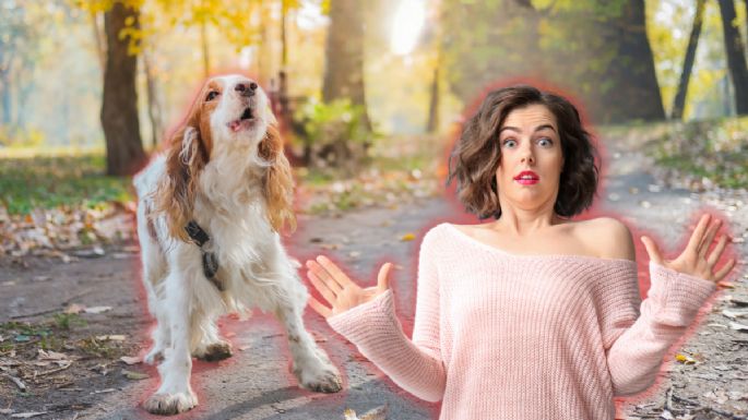 ¿Por qué mi perro ladra a algunas personas y a otras no?