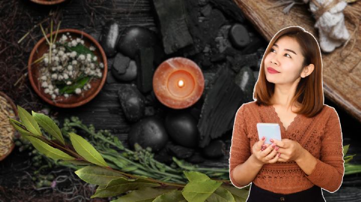 Cómo utilizar el laurel para limpiar tu energía y abrir el Portal 9/9 este 9 de septiembre