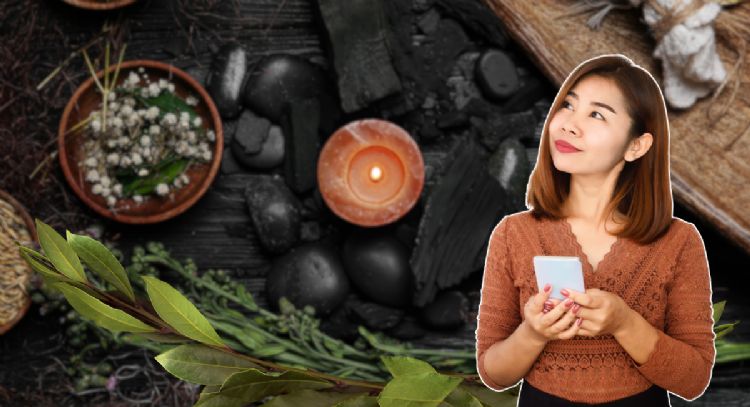 Cómo utilizar el laurel para limpiar tu energía y abrir el Portal 9/9 este 9 de septiembre