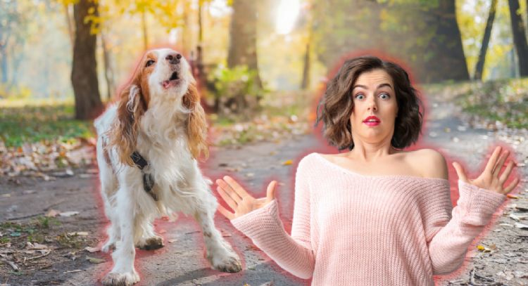 ¿Por qué mi perro ladra a algunas personas y a otras no?