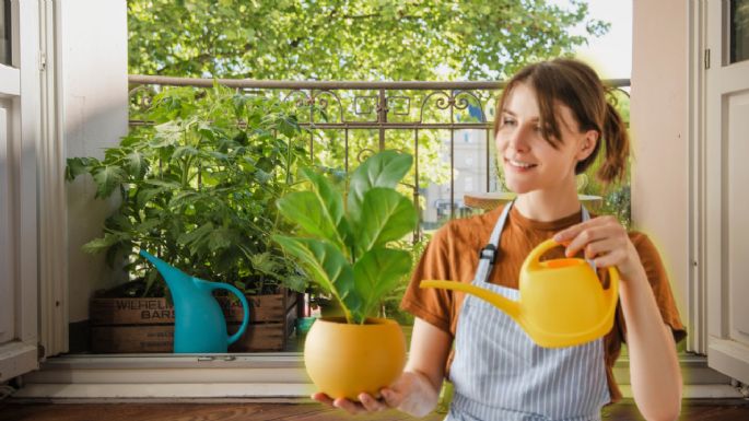 ¿Vives en un departamento? Estas son las 5 plantas que debes sembrar en tu balcón para tener flores todo el año