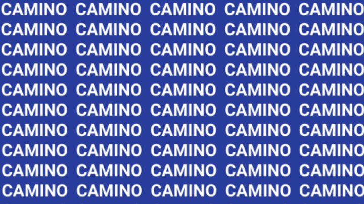 Sólo la mente de un maestro puede encontrar la palabra 'Canino' en menos de 10 segundos