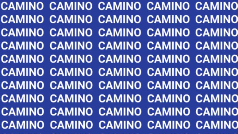 Sólo la mente de un maestro puede encontrar la palabra 'Canino' en menos de 10 segundos