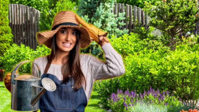 Estos son los 5 árboles que no debes plantar en tu jardín porque te arrepentirás, según expertos