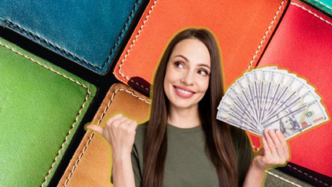 Adiós deudas: conoce el color de billetera que debes usar para atraer la abundancia