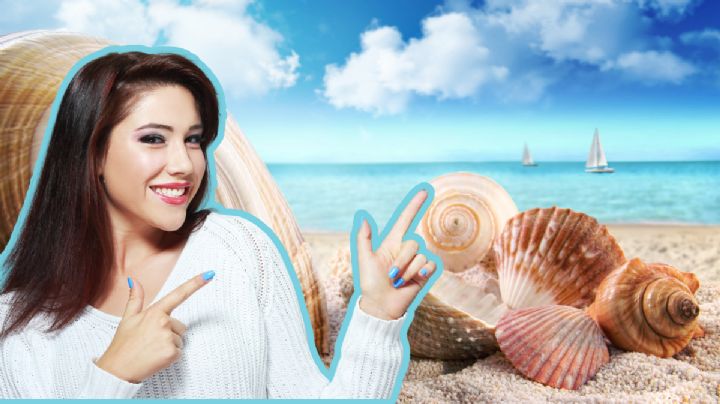 Reutiliza los caracoles de playa y transfórmalos en decoraciones únicas