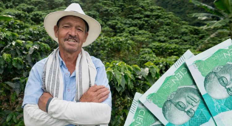 Devolución del IVA 2025: estas son las FECHAS de PAGO en enero vía DPS