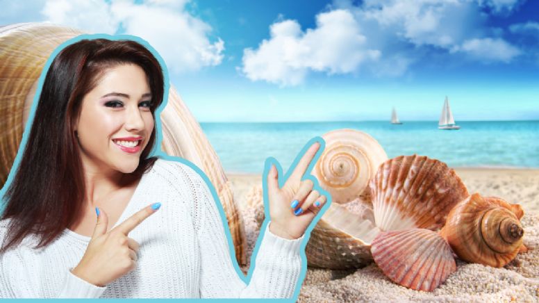 Reutiliza los caracoles de playa y transfórmalos en decoraciones únicas