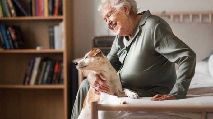 Expertos advierten qué se debe hacer con un perro que sufre demencia