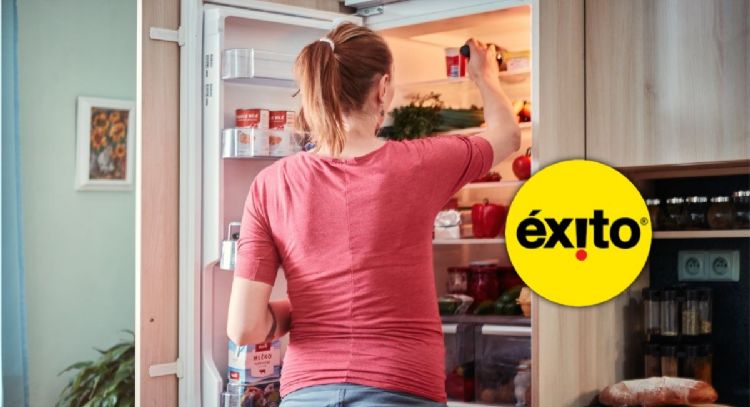 Nevera Electrolux no frost de 251 litros se encuentra rebajada en Éxito: casi 50% de descuento