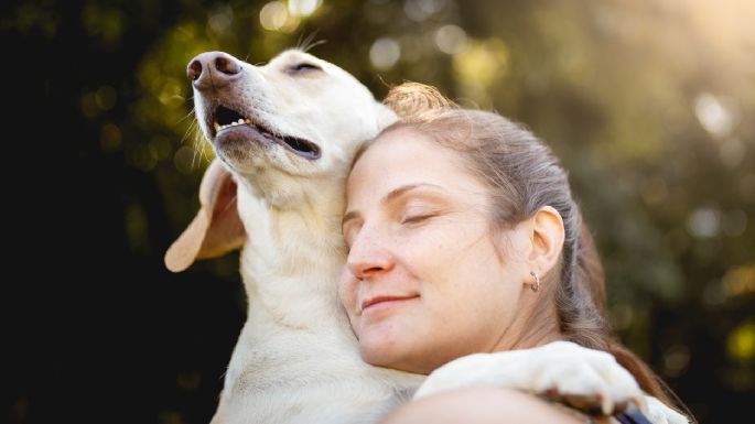 Estas son las 5 razas de perros más cariñosas, según expertos veterinarios