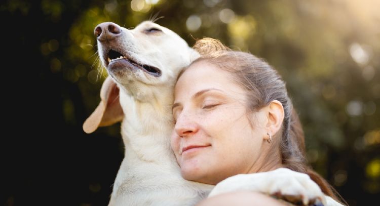 Estas son las 5 razas de perros más cariñosas, según expertos veterinarios