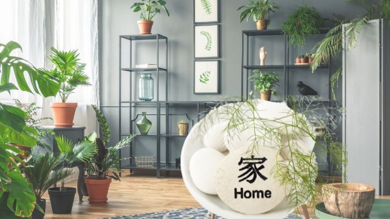 Feng Shui: estos son los 5 lugares donde no debes colocar las plantas de la casa