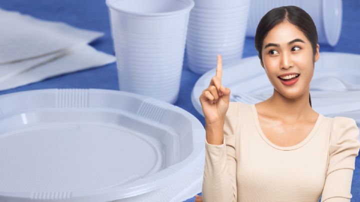 Reutiliza y recicla: convierte viejos platos plásticos en un elegante adorno para tu hogar