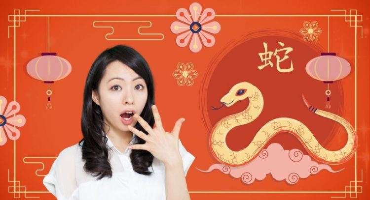 Año de la Serpiente de madera: estos son los 3 animales que alcanzan el equilibrio financiero y laboral entre el 17 al 25 de febrero, según la astrología oriental