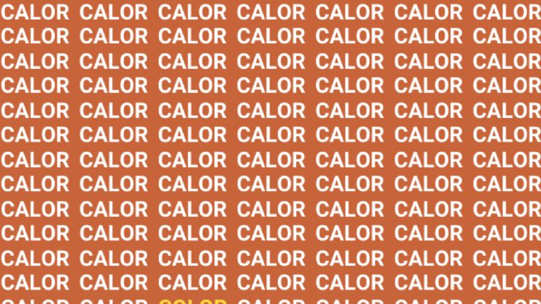Solo la mente de un maestro puede encontrar la palabra 'Color' en menos de 10 segundos