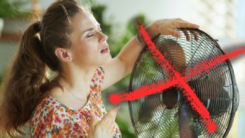 El ventilador pasó de moda, esta es la nueva manera de refrescar tu casa sin gastar de más