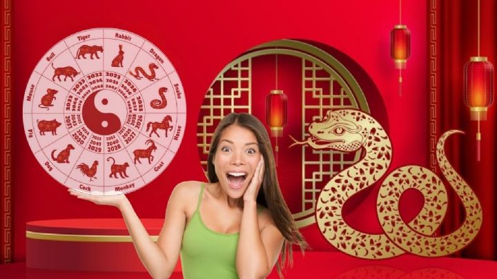 Año de la Serpiente de madera: los 3 animales que reciben un golpe de suerte del 18 al 24 de febrero, según la astrología oriental