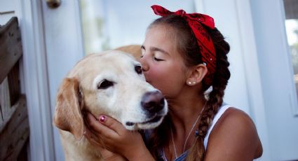 Cómo decirle te quiero a tu perro de forma correcta, según experto